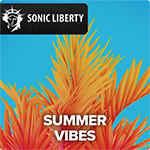 Gema-freie Hintergrundmusik Summer Vibes